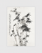Chinese bamboo