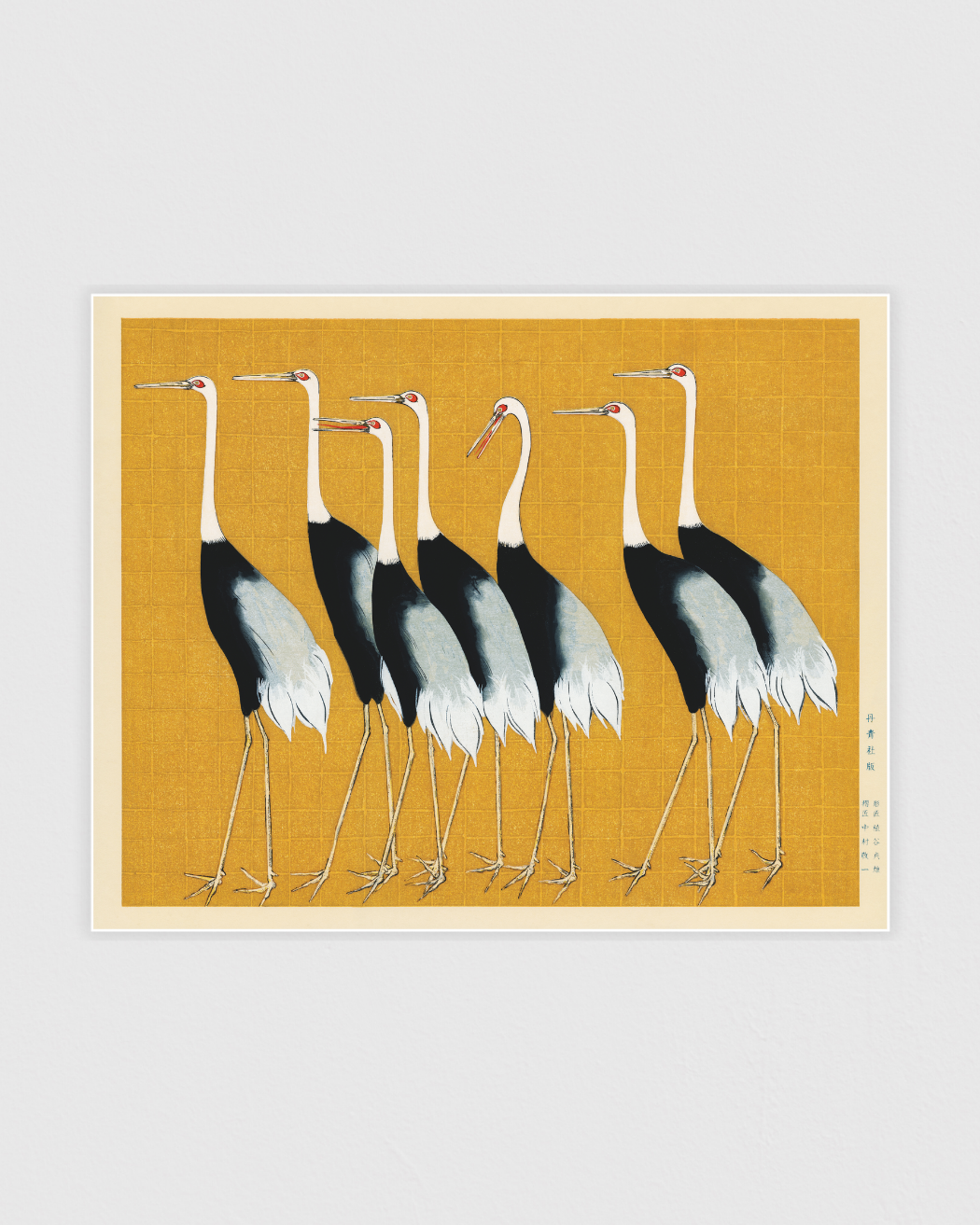 A traditional portrait of a flock of beautiful Japanese red crown crane