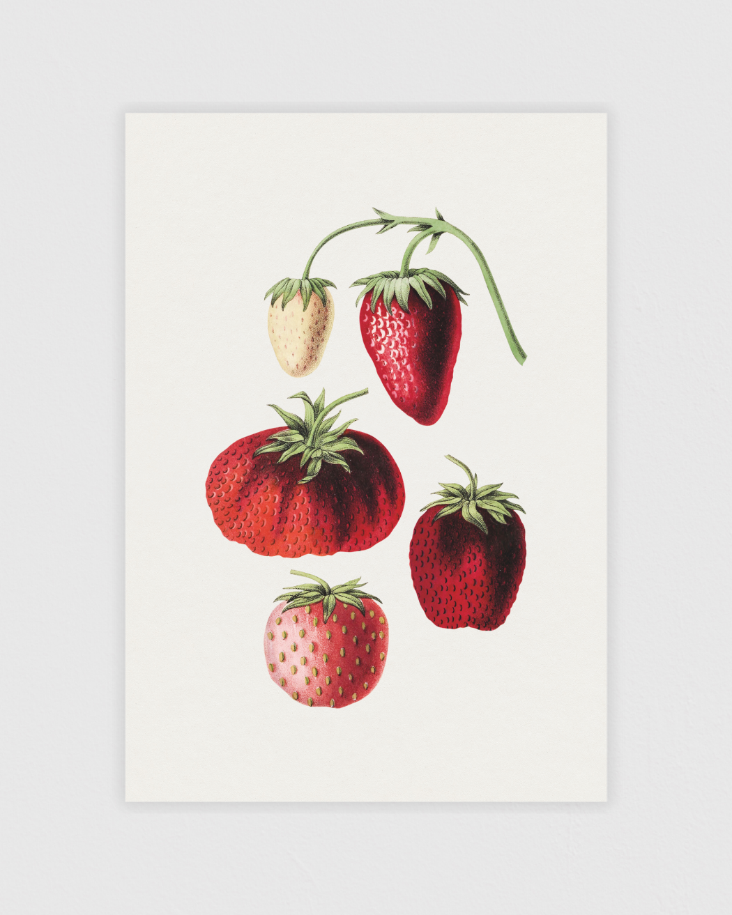 Hand drawn strawberry
