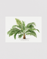 Vintage palm tree illustration No.2