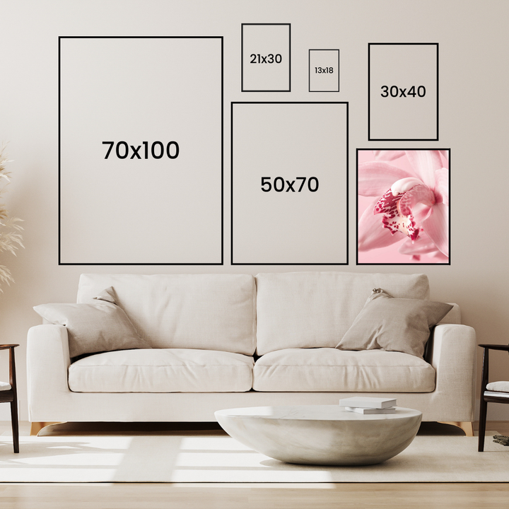 Pink Orchid Poster