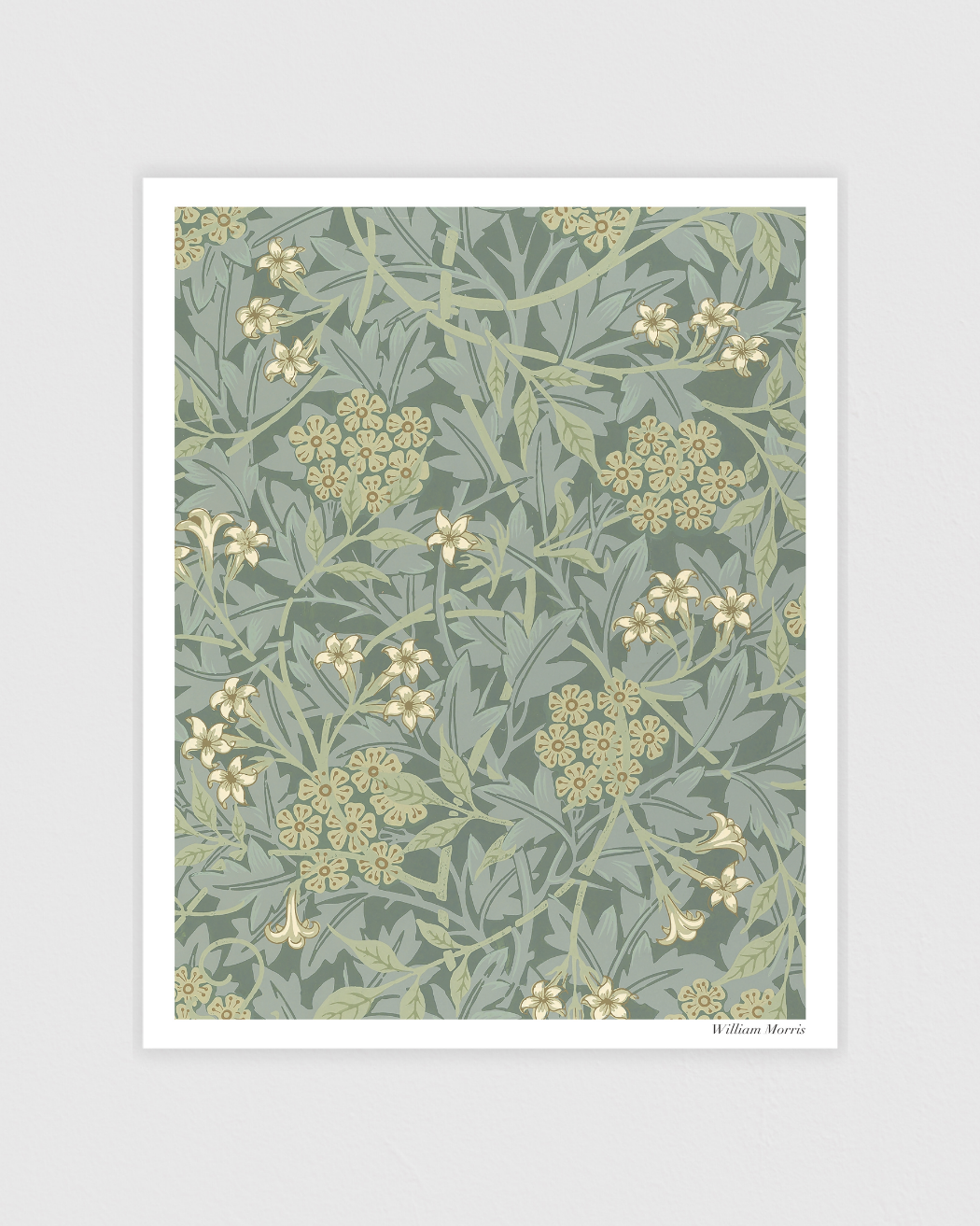 Jasmine