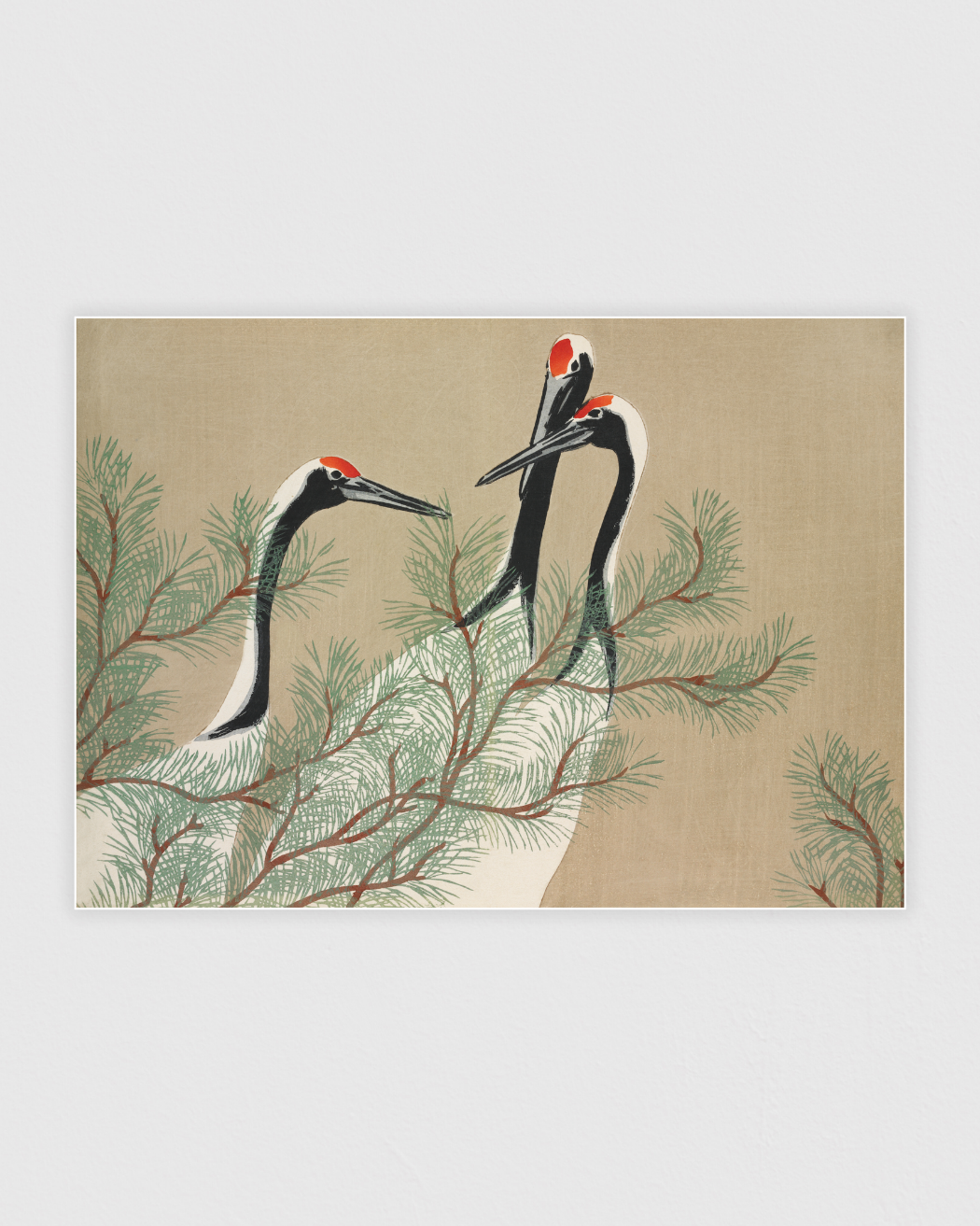 Cranes from Momoyogusa