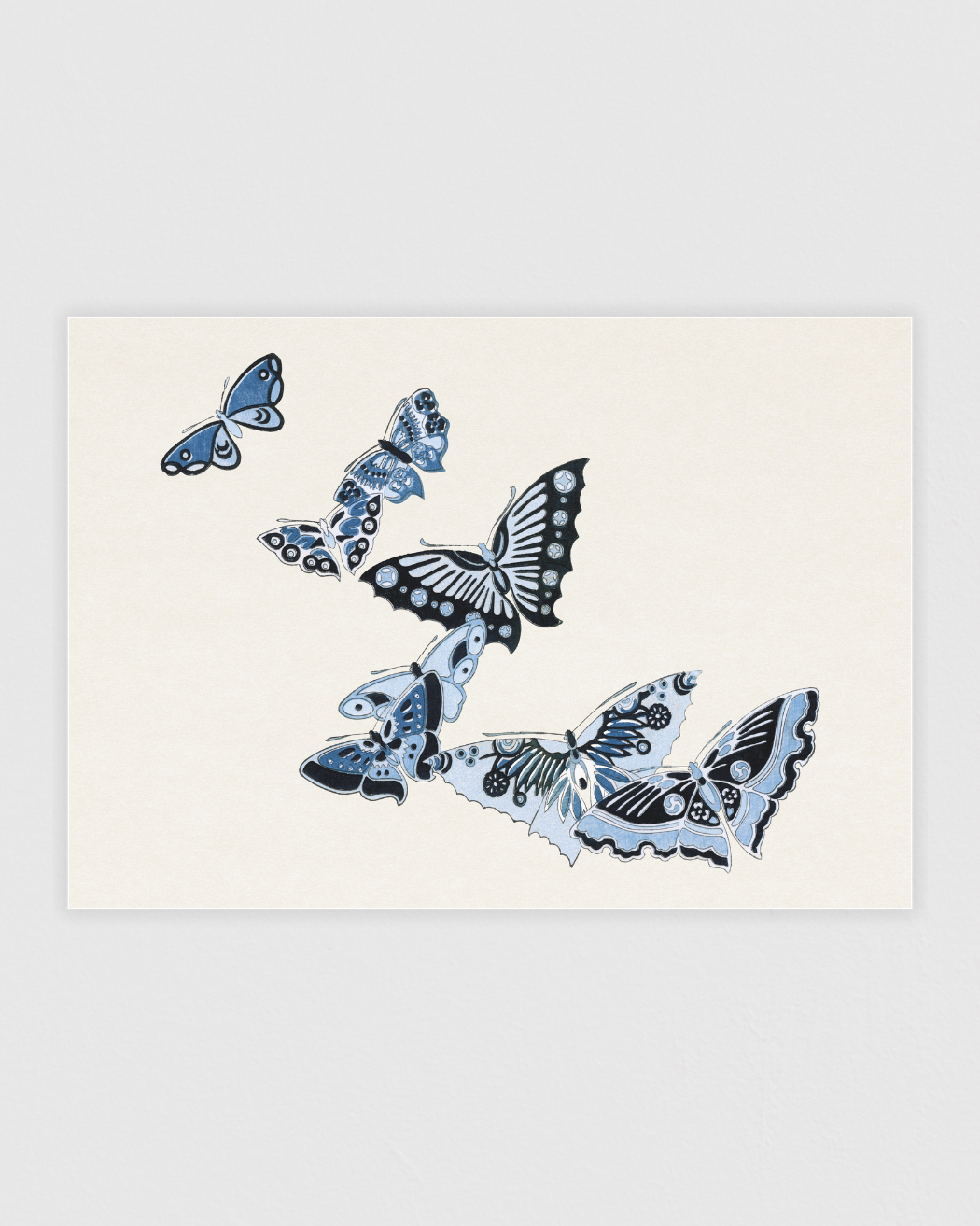 Japanese butterfly