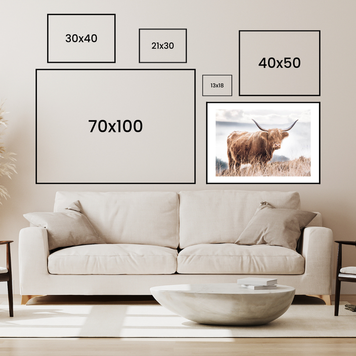 Highland Cow In Field Poster