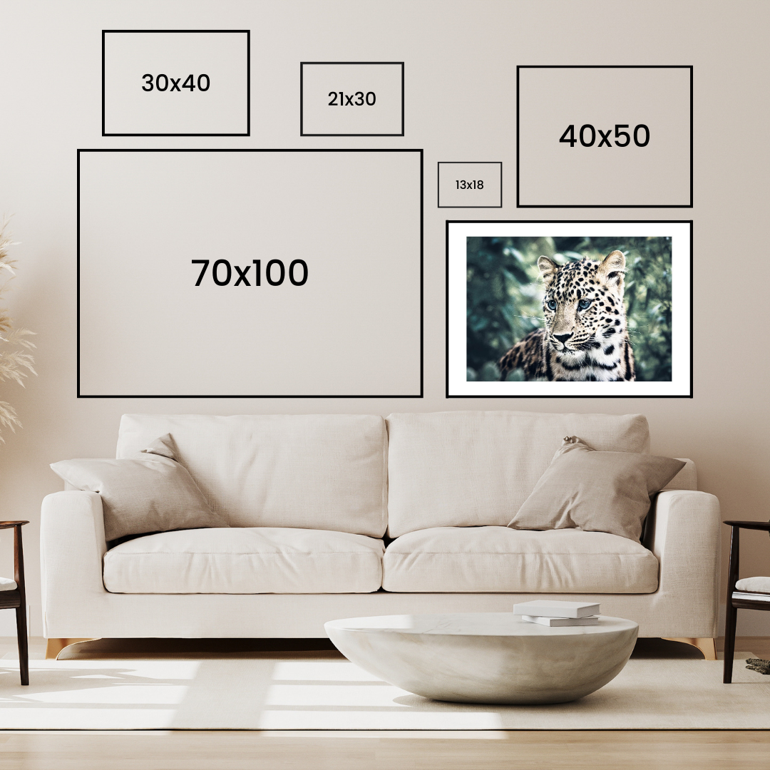 Blue Eyed Leopard Poster