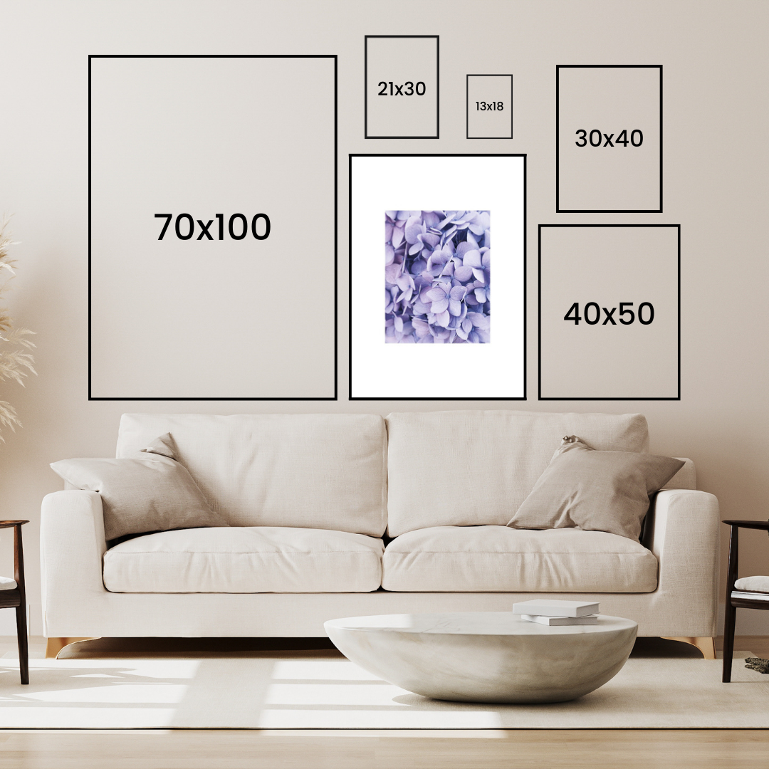 Purple Hydrangea Poster