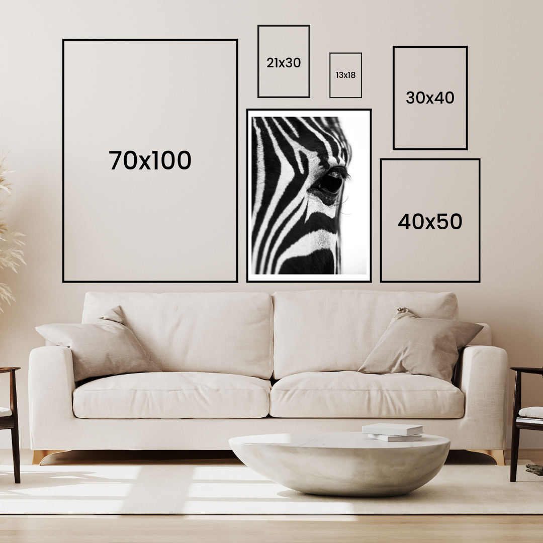 Närbild Zebra Poster