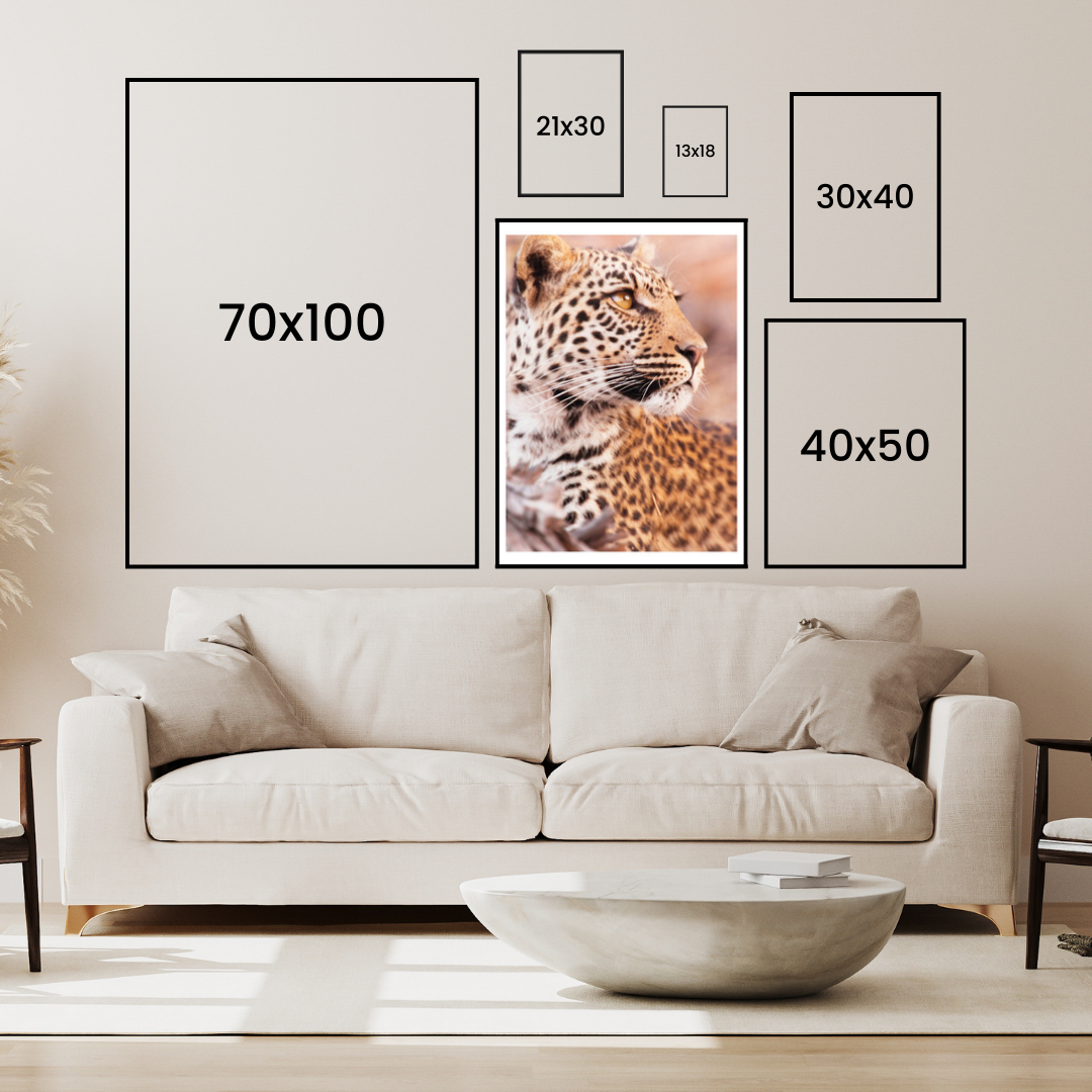 Leopard i Profil Poster