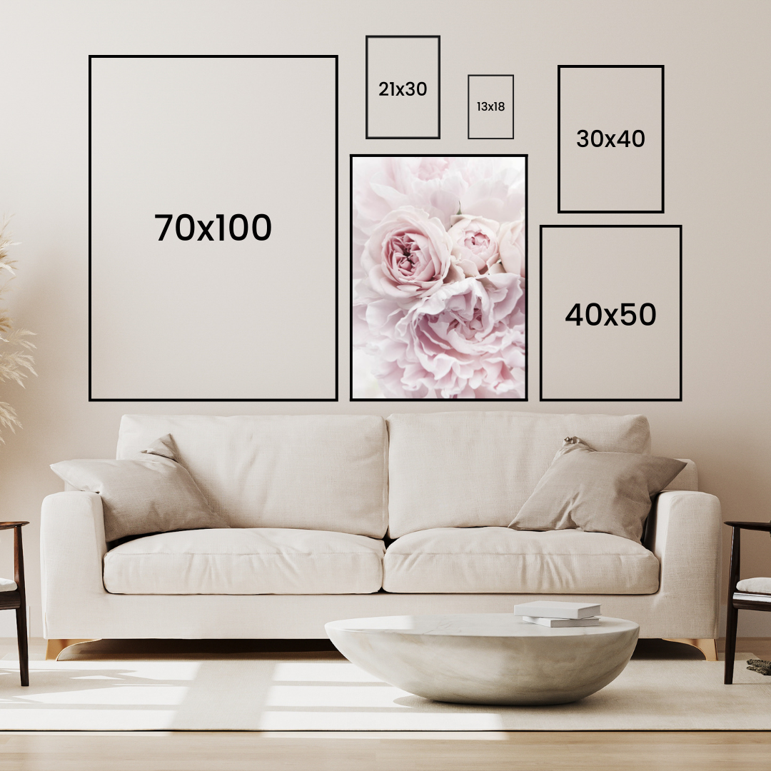 Light Pink Peonies Poster