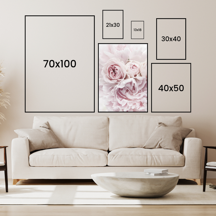 Light Pink Peonies Poster