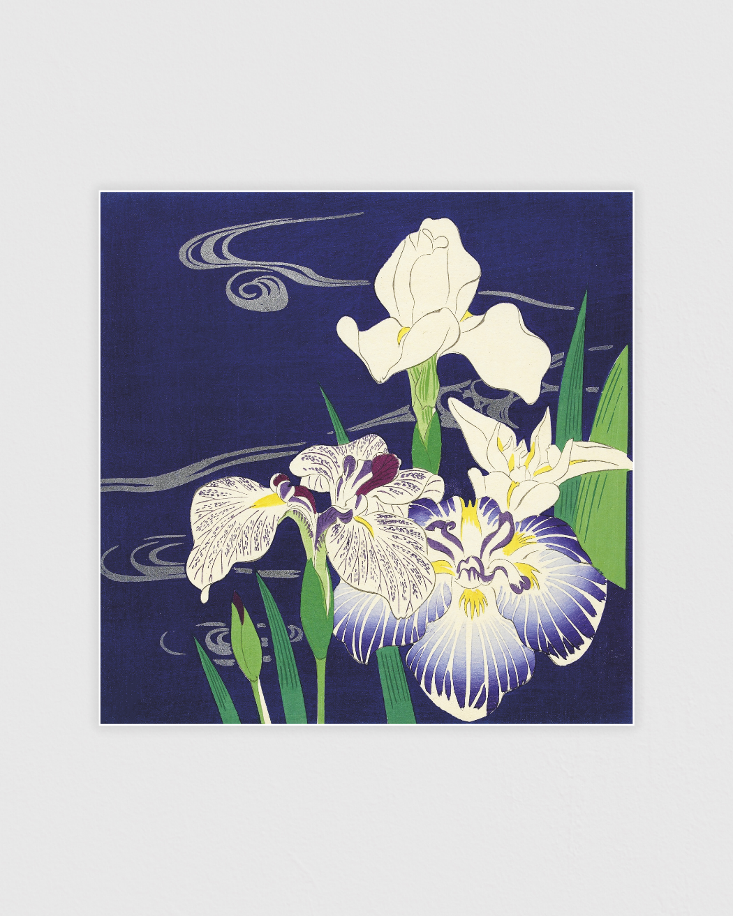 Irises