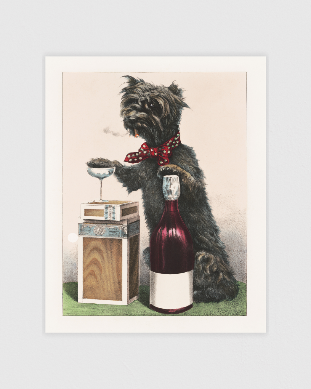 A jolly dog