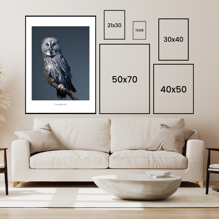 Great Grey Owl Poster