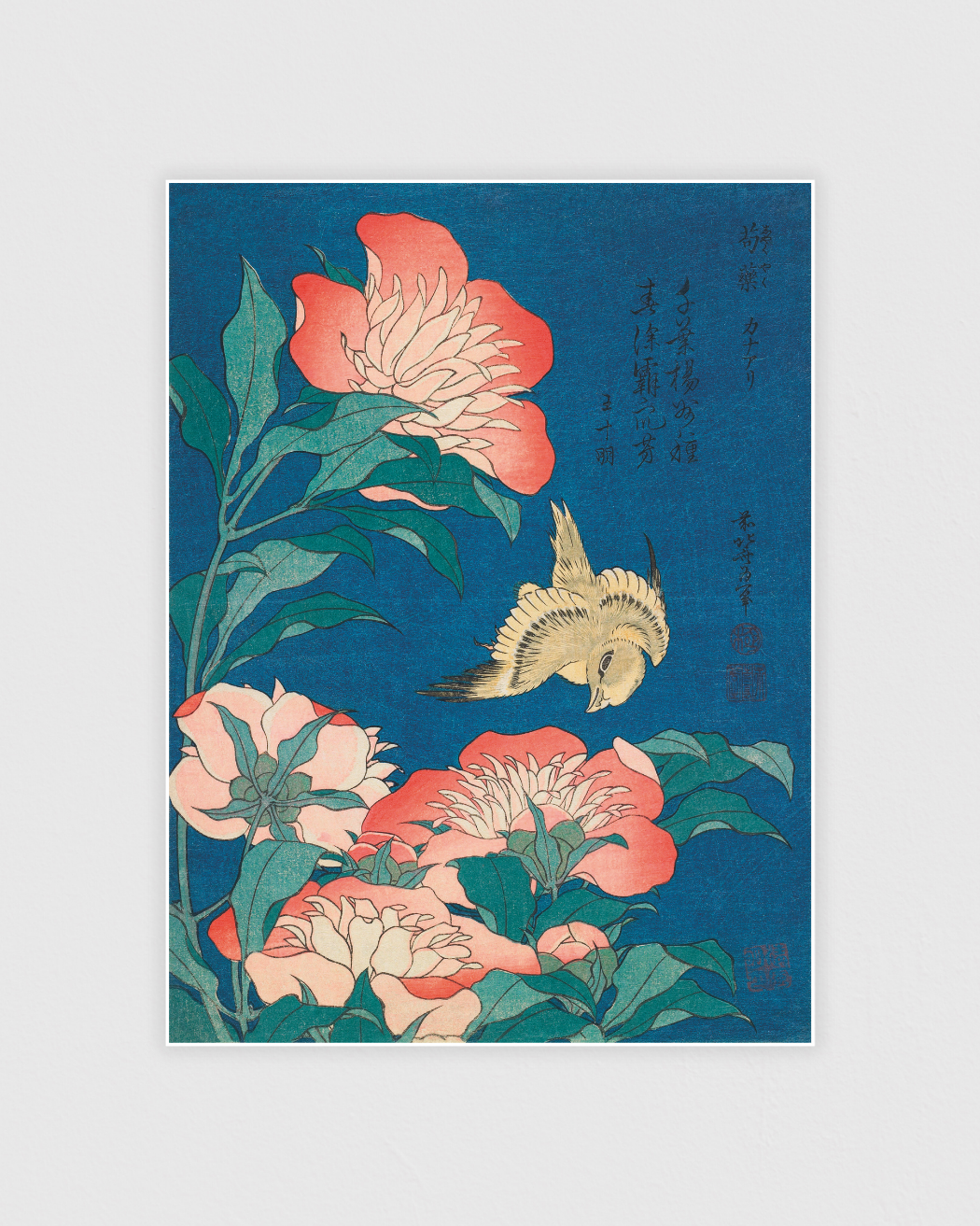 Peonies and Canary