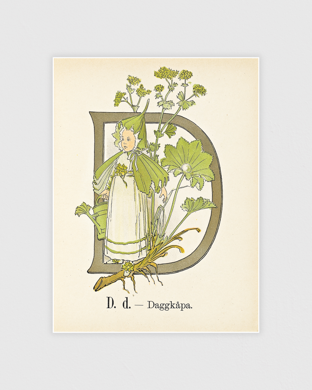 Prinsarnes blomsteralfabet - D