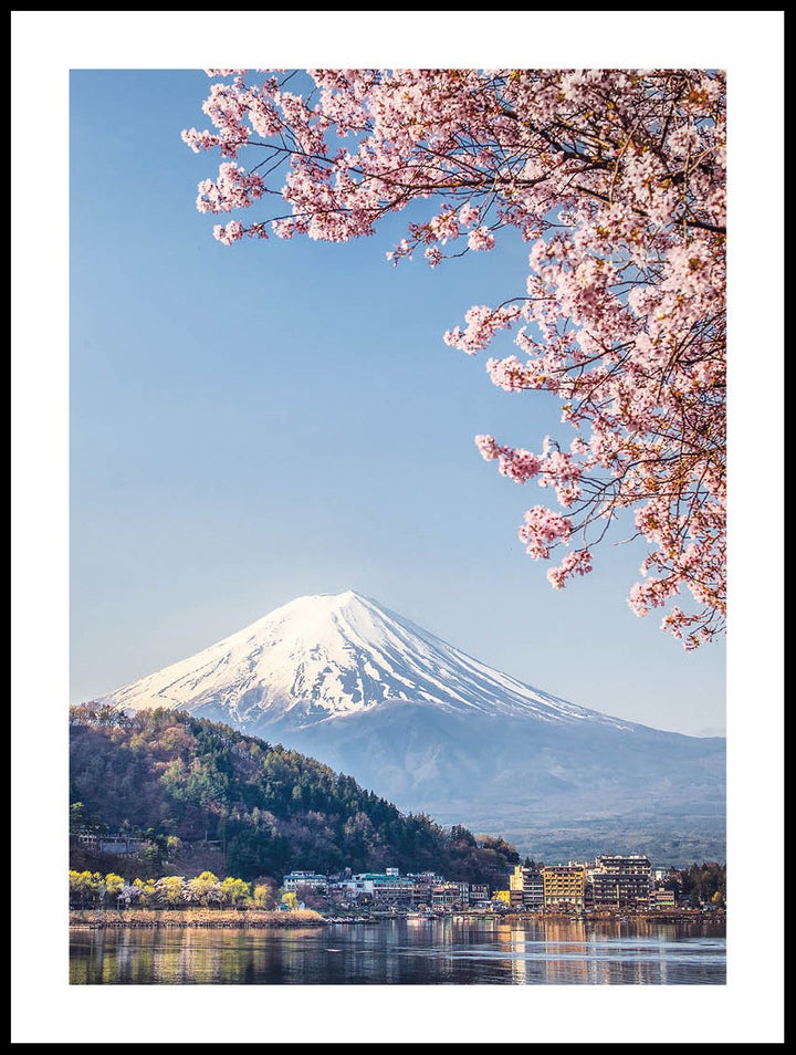 Volcano And Cherry Blossoms Poster