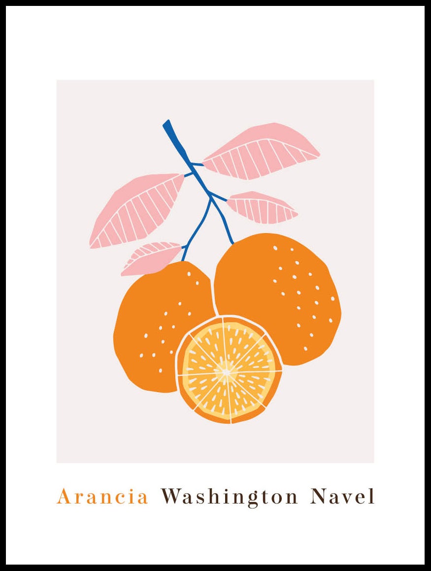 Arancia Washington Navel Poster