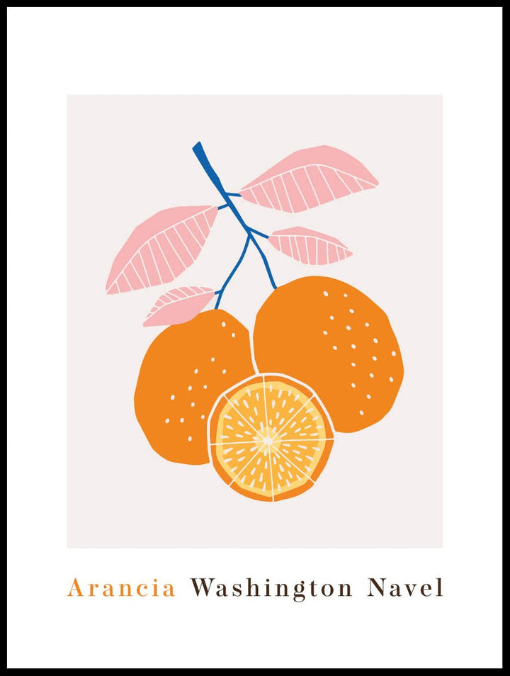 Arancia Washington Navel Poster