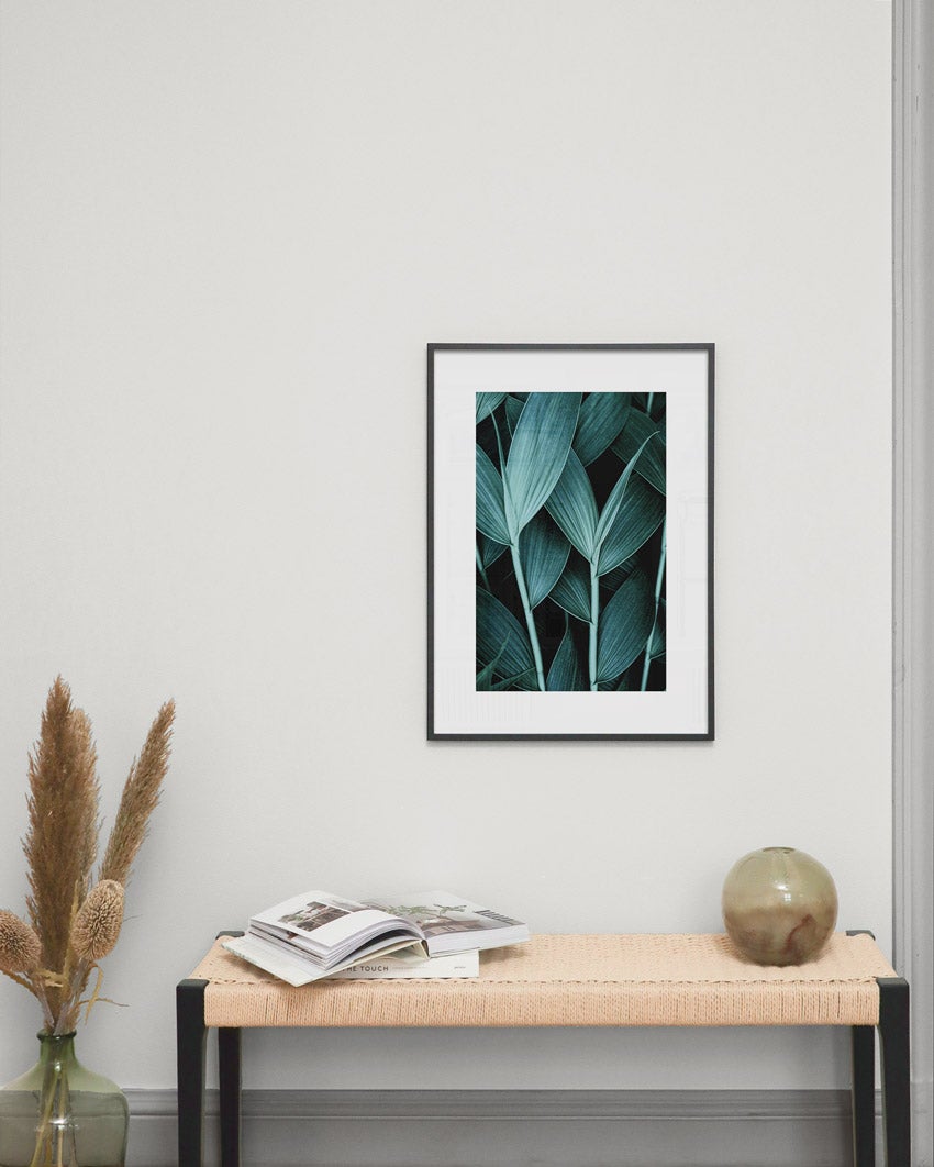 Exotic Leaves Poster