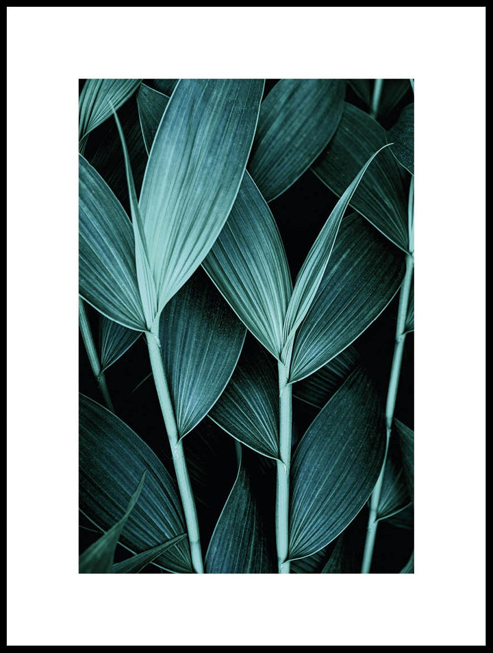 Exotic Leaves Poster