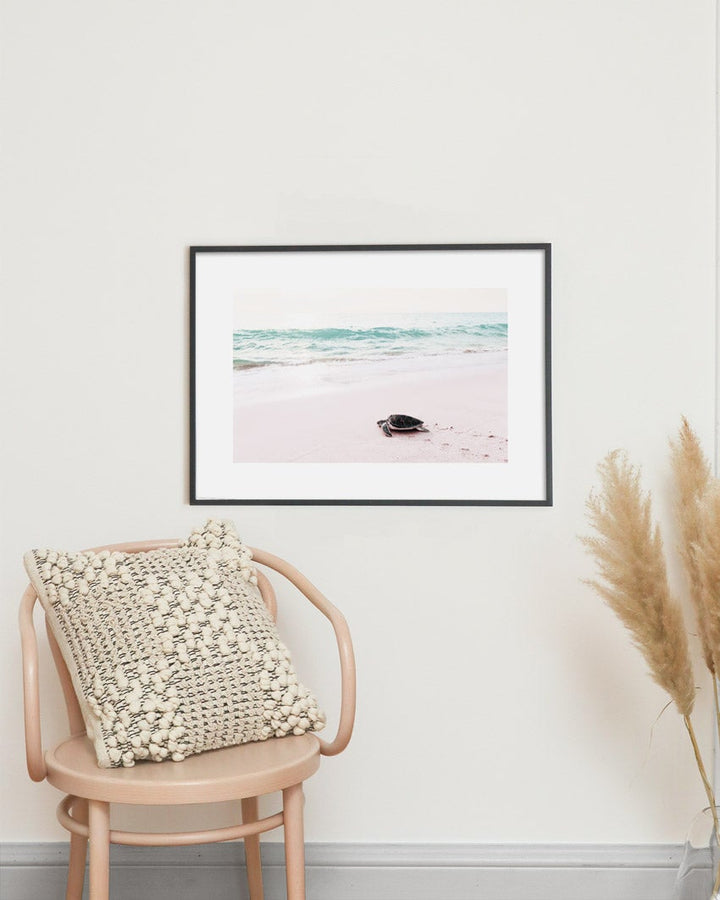 Turtle On The Beach Poster