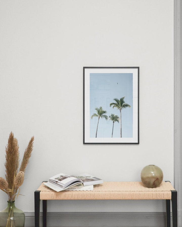 Palms Poster