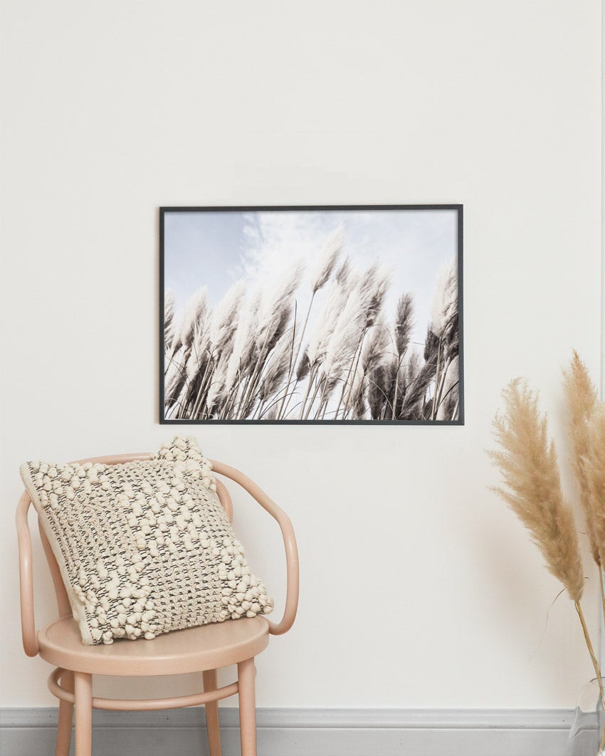 Pampas Grass Poster