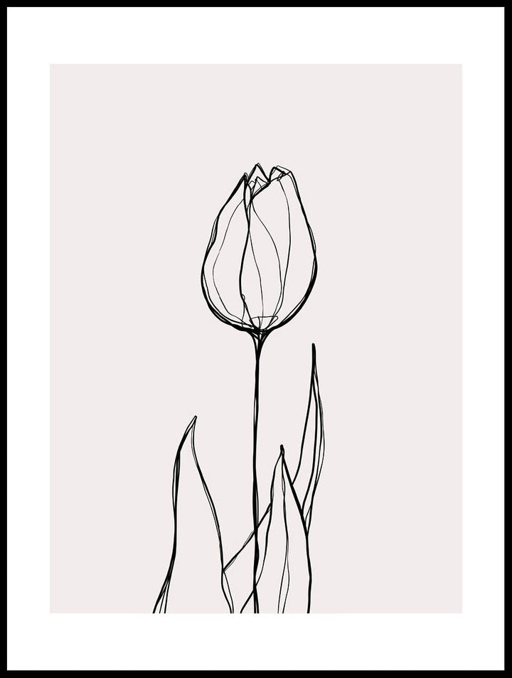 The Tulip Poster