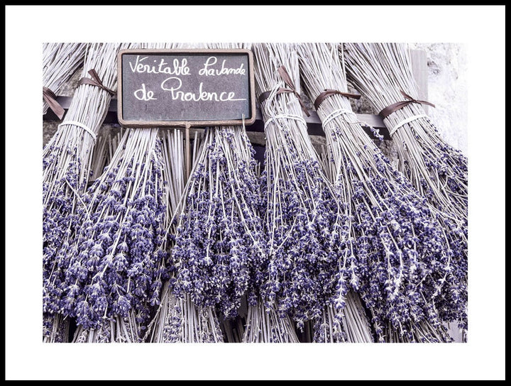 Field Of Lavender Poster