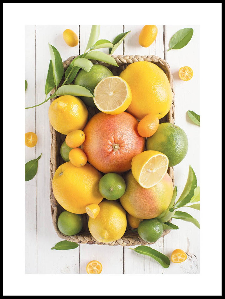 Citrus Fruits Poster