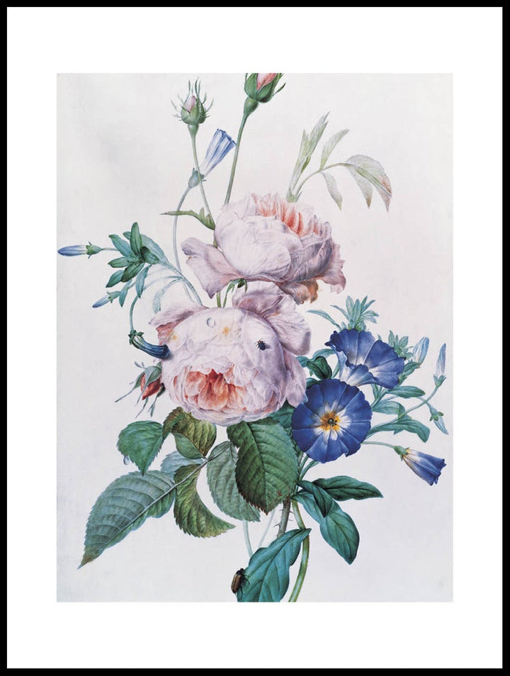 Peonies Painting Poster