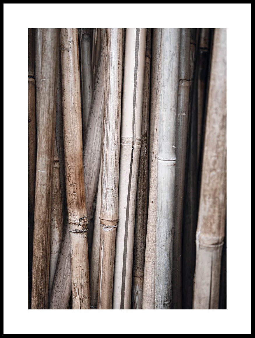 Bamboo Sticks Poster