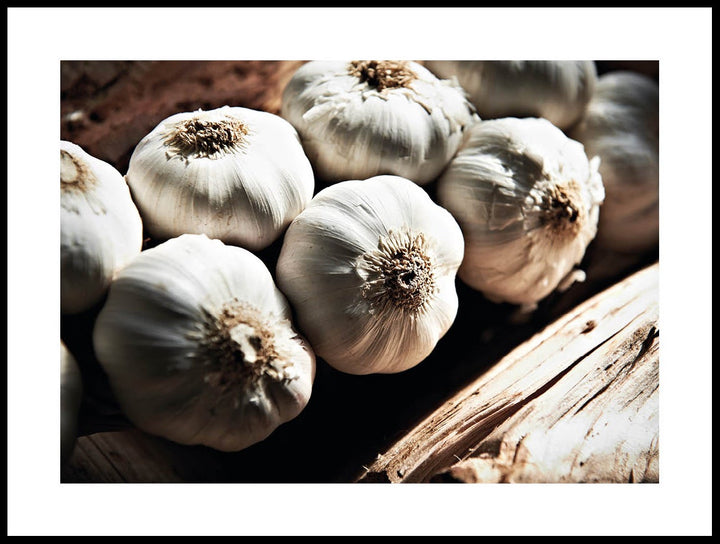 Garlic Poster