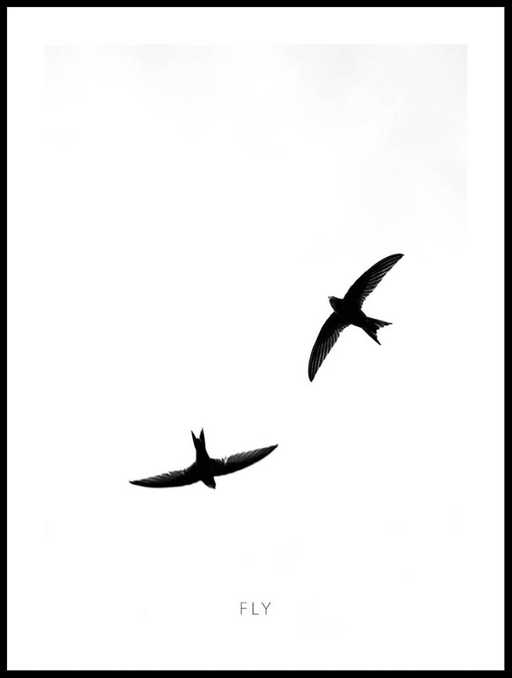 Swallows Poster