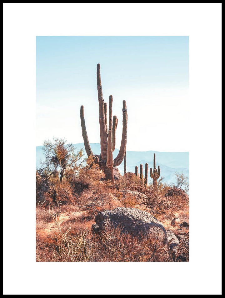 Scottsdale Landscape Poster