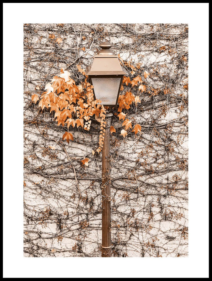 Autumn Light Poster