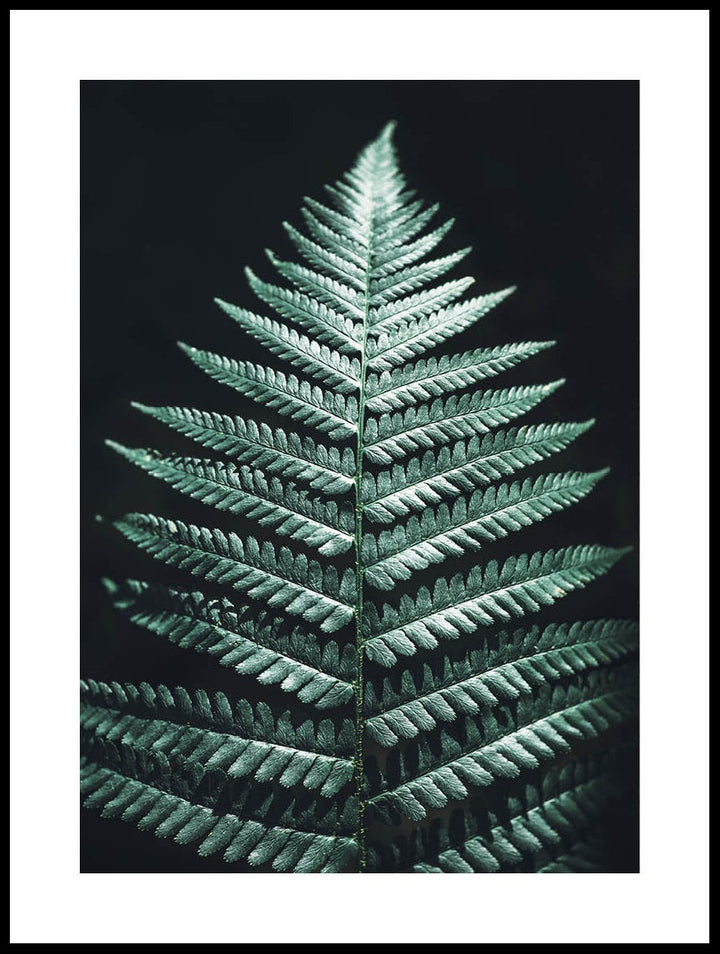 Fronds Poster