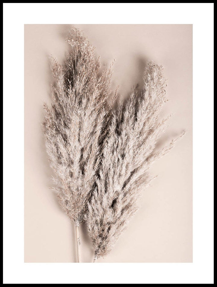 Pampas Grass Poster