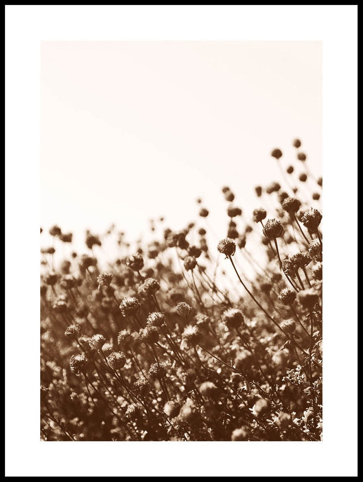 Strand Blommor Poster