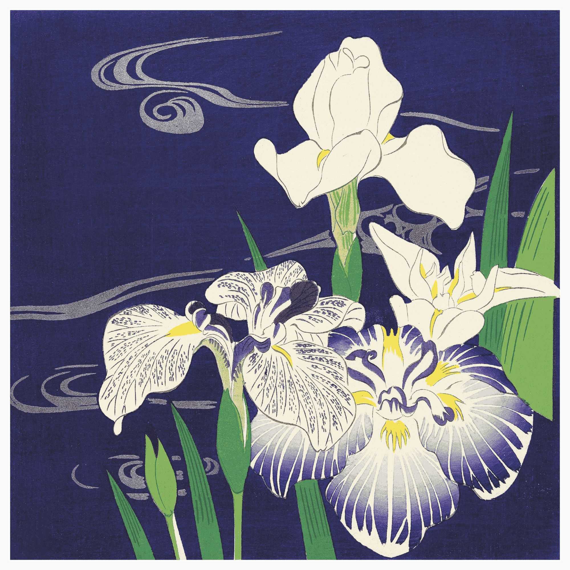 Irises