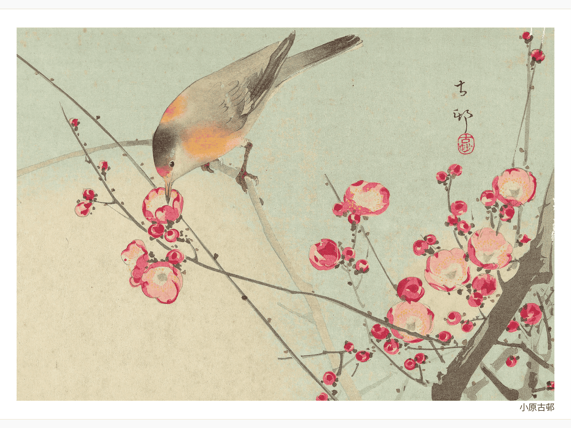 Songbird on Blossom Branch