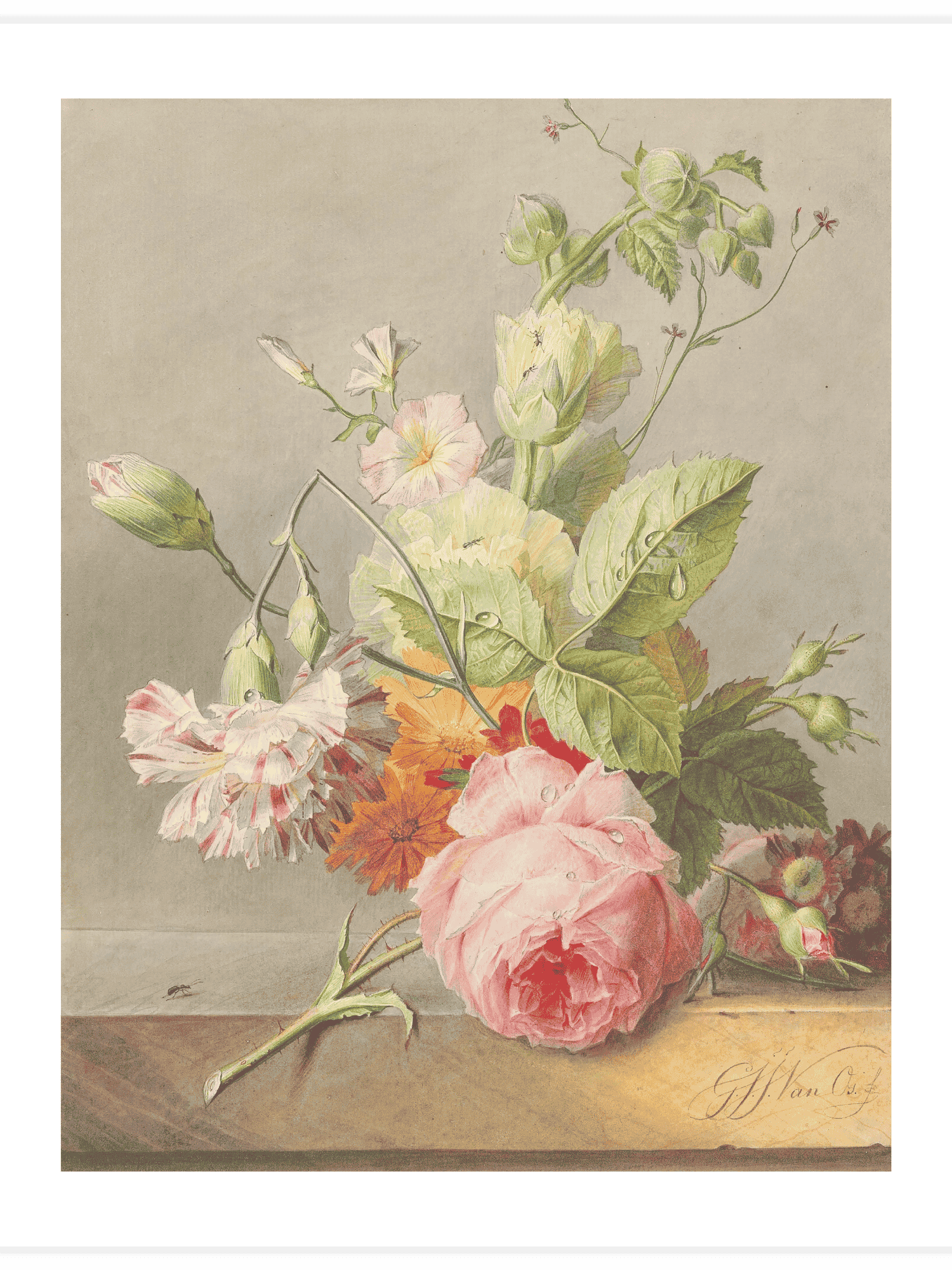 Floral Still Life