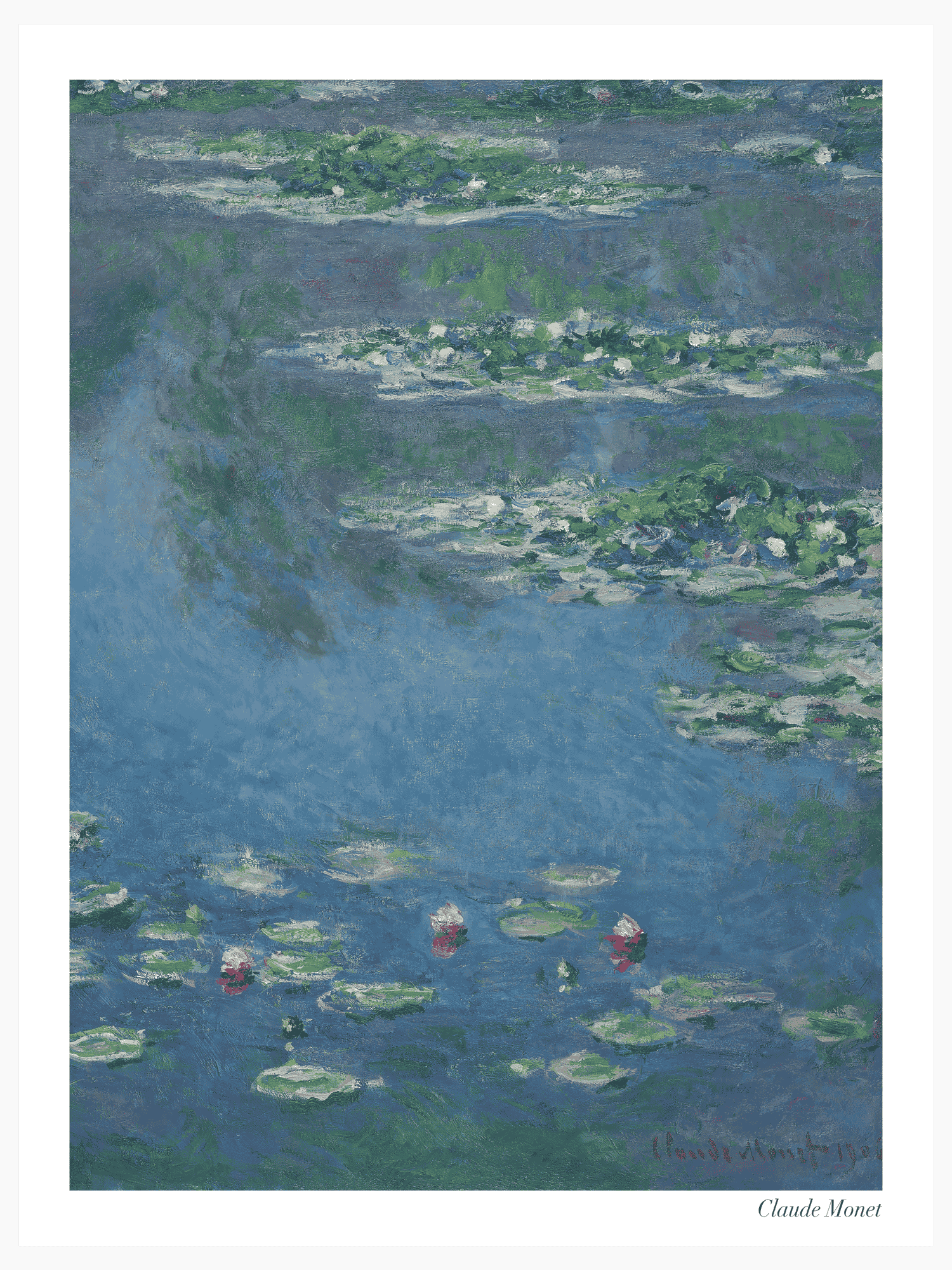 Water Lilies