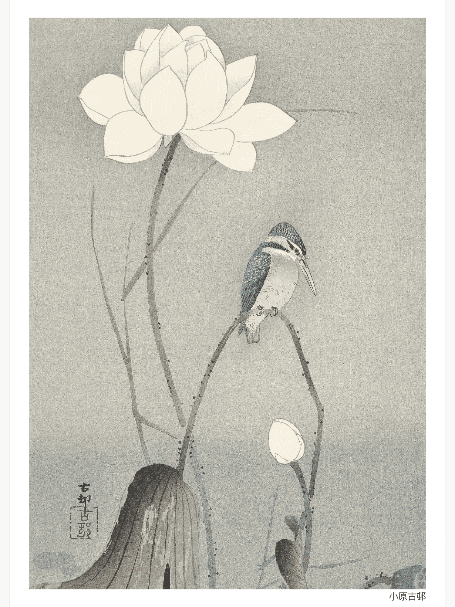 Kingfisher with Lotus Flower