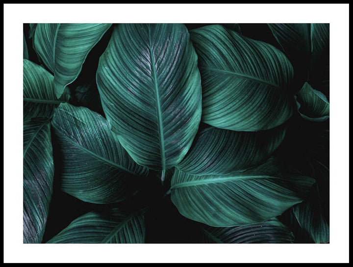 Abstract Leaves Poster