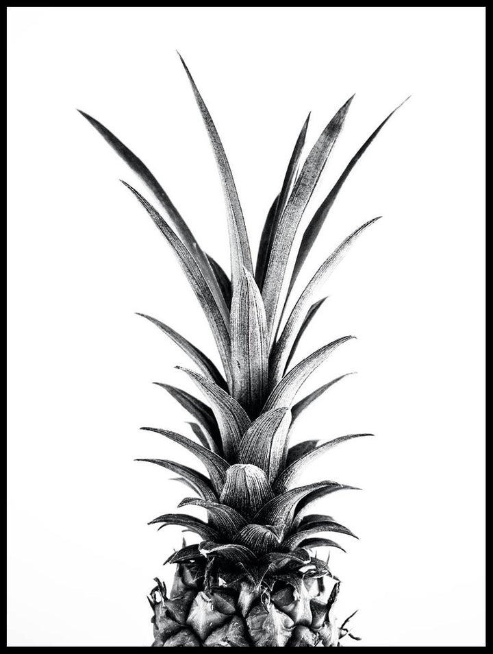 Pineapple Leaves Poster