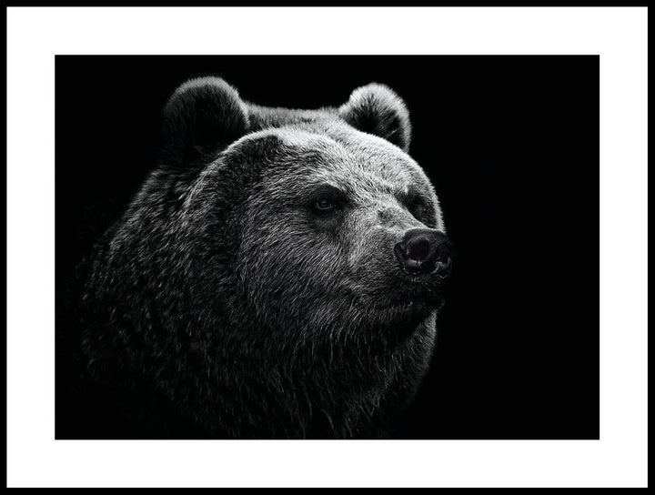 Bear Poster