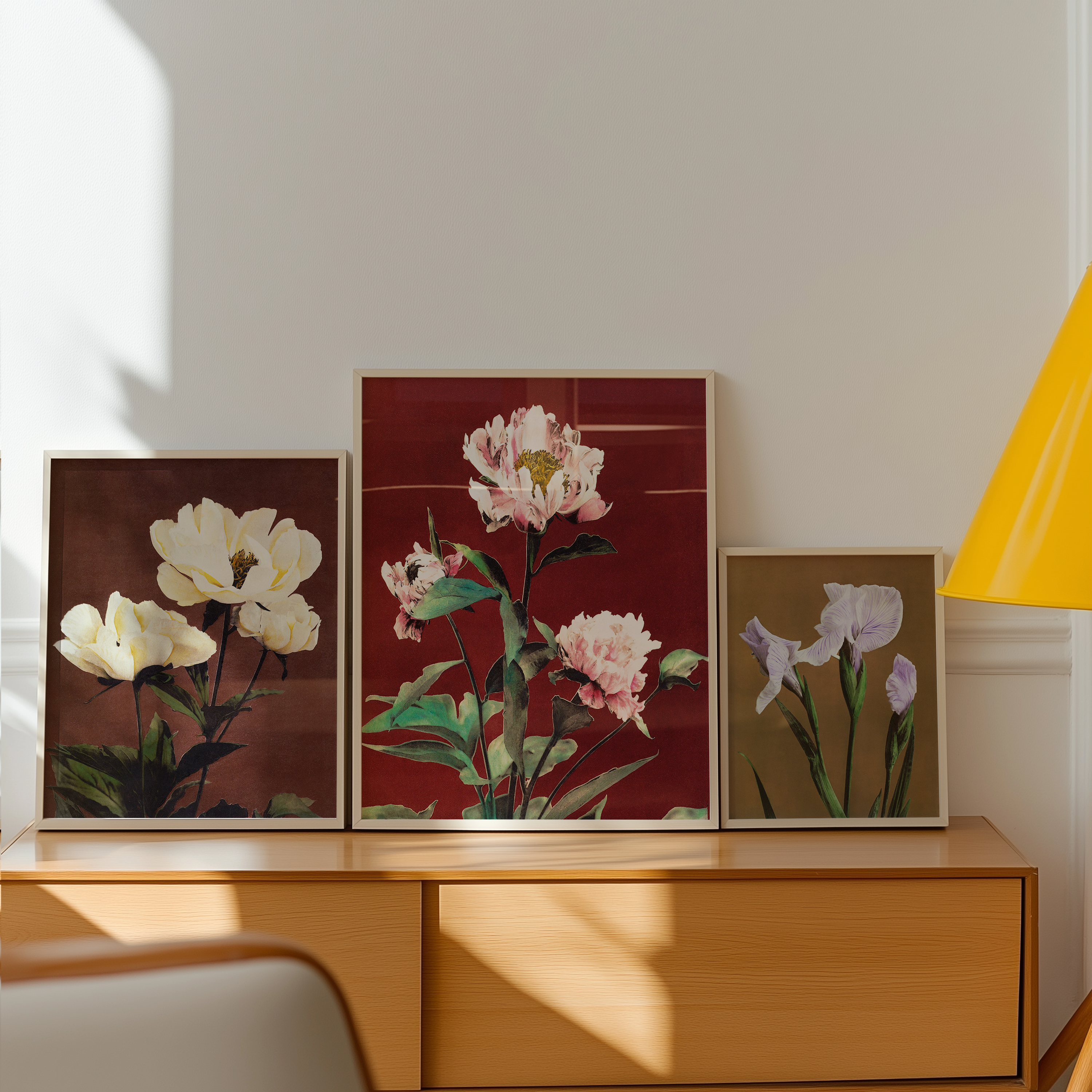 Hærdaceous Peony No.1