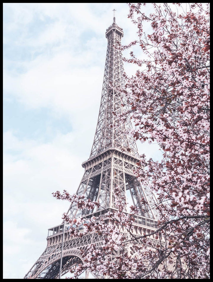 Blossom At The Eiffel Tower Poster